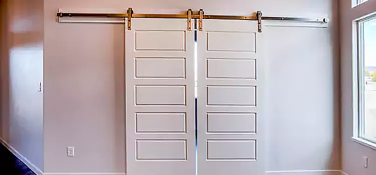 Glass Barn Door with Installation Hardware Kit Coconut Creek